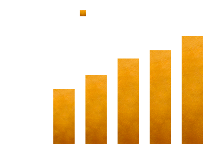 Capital and Surplus Chart