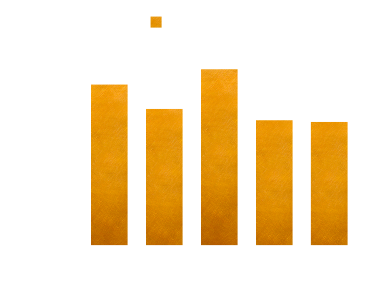 Net Income Chart